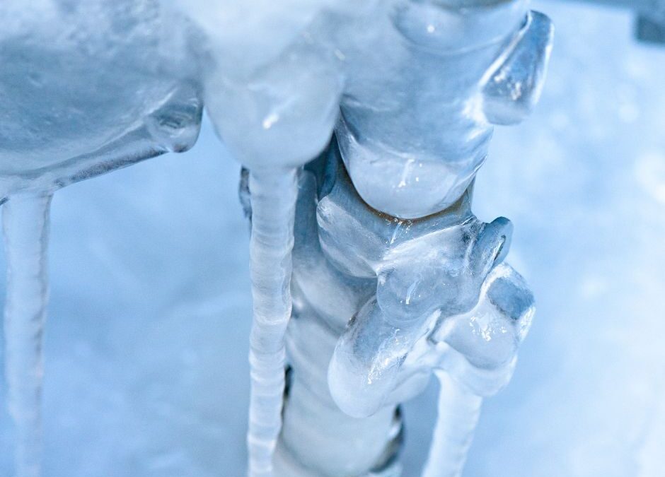 Preventing Frozen Pipes